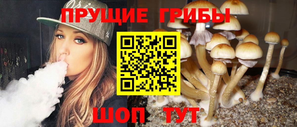 купить наркотик  Псилоцибиновые грибы прущие грибы  Пушкино  Вход с VPN  Псилоцибиновые грибы мухоморы 